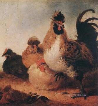  rural Pintura - Gallo y gallinas, pintor rural Aelbert Cuyp